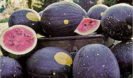 贵阳吃瓜爆料是真的吗,真相揭秘，是真是假？